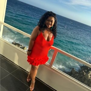 Hanifa iggy mini dress. Worn Once for about 4h.